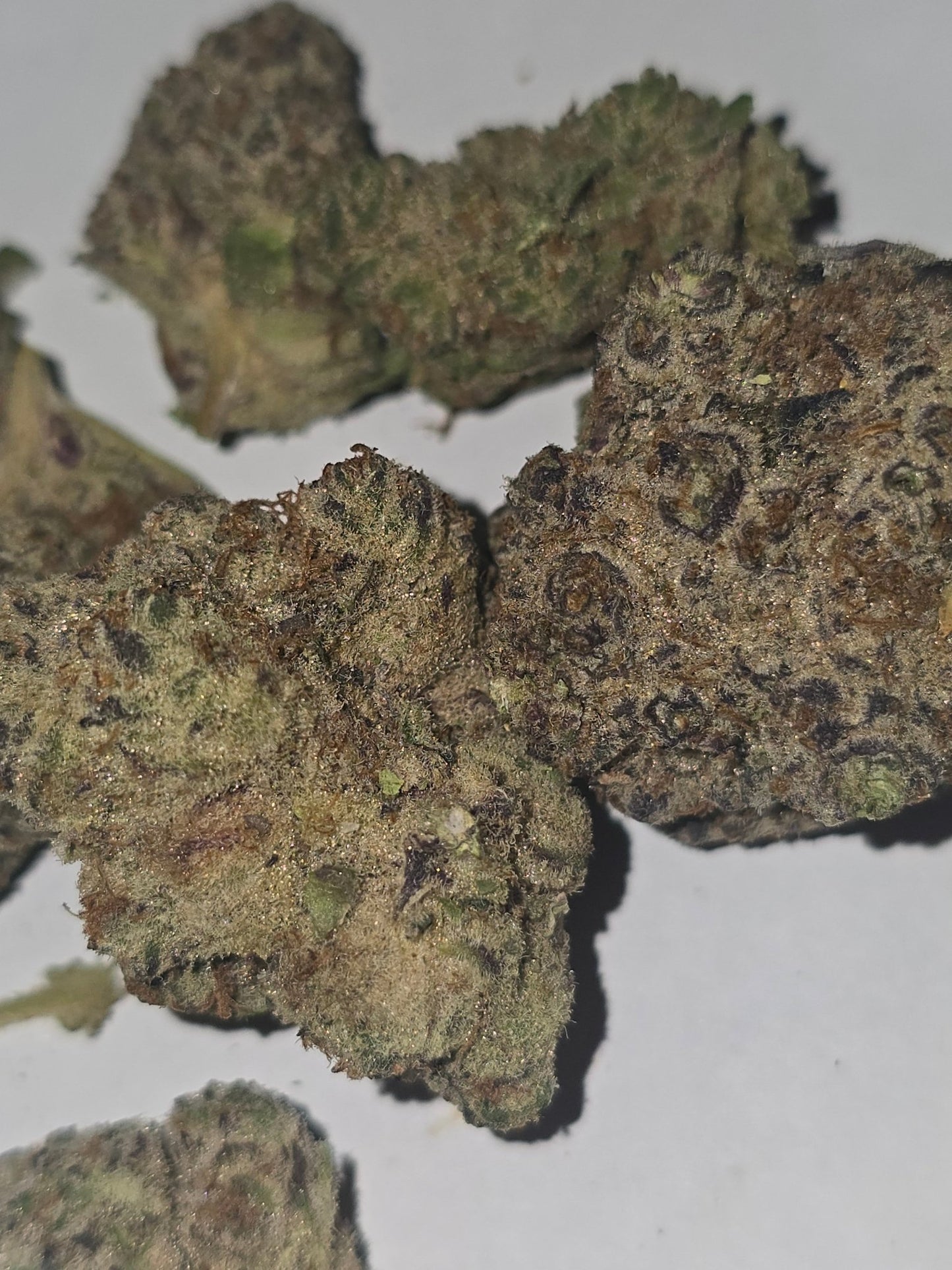 THCa Hemp Flower - Berry Cream Puff - Alderson Family Farms