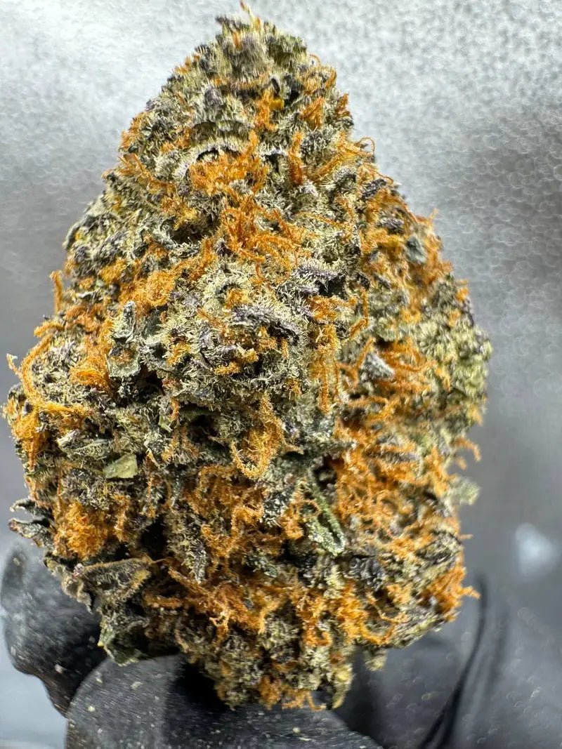 THCa Hemp Flower - Blue Coffee (Sativa) - Alderson Family Farms