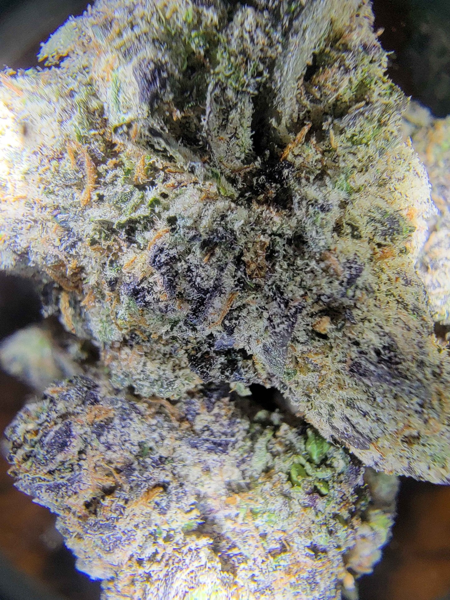 THCa Hemp Flower - Boutique - Alderson Family Farms