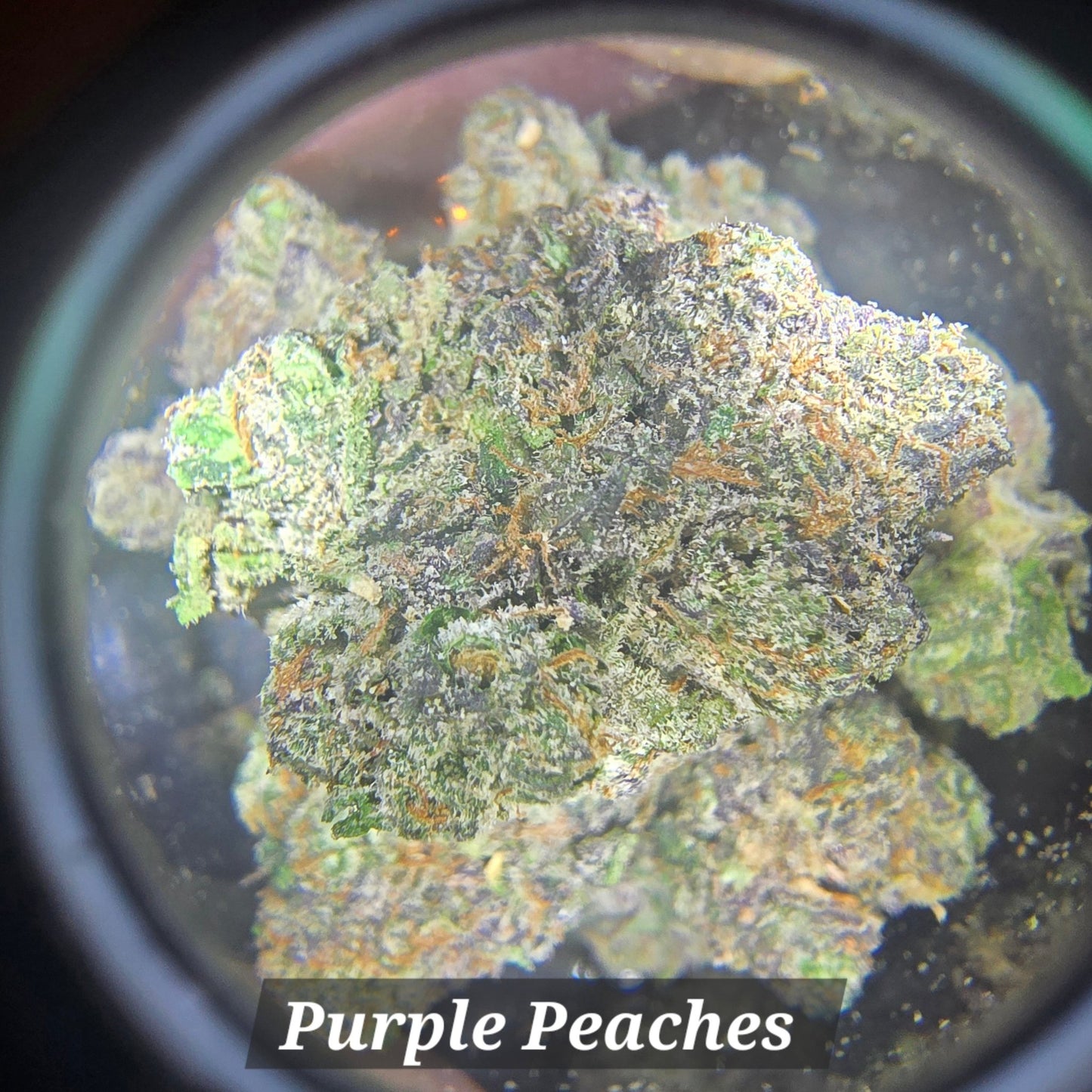 THCa Hemp Flower - Exotics - Alderson Family Farms
