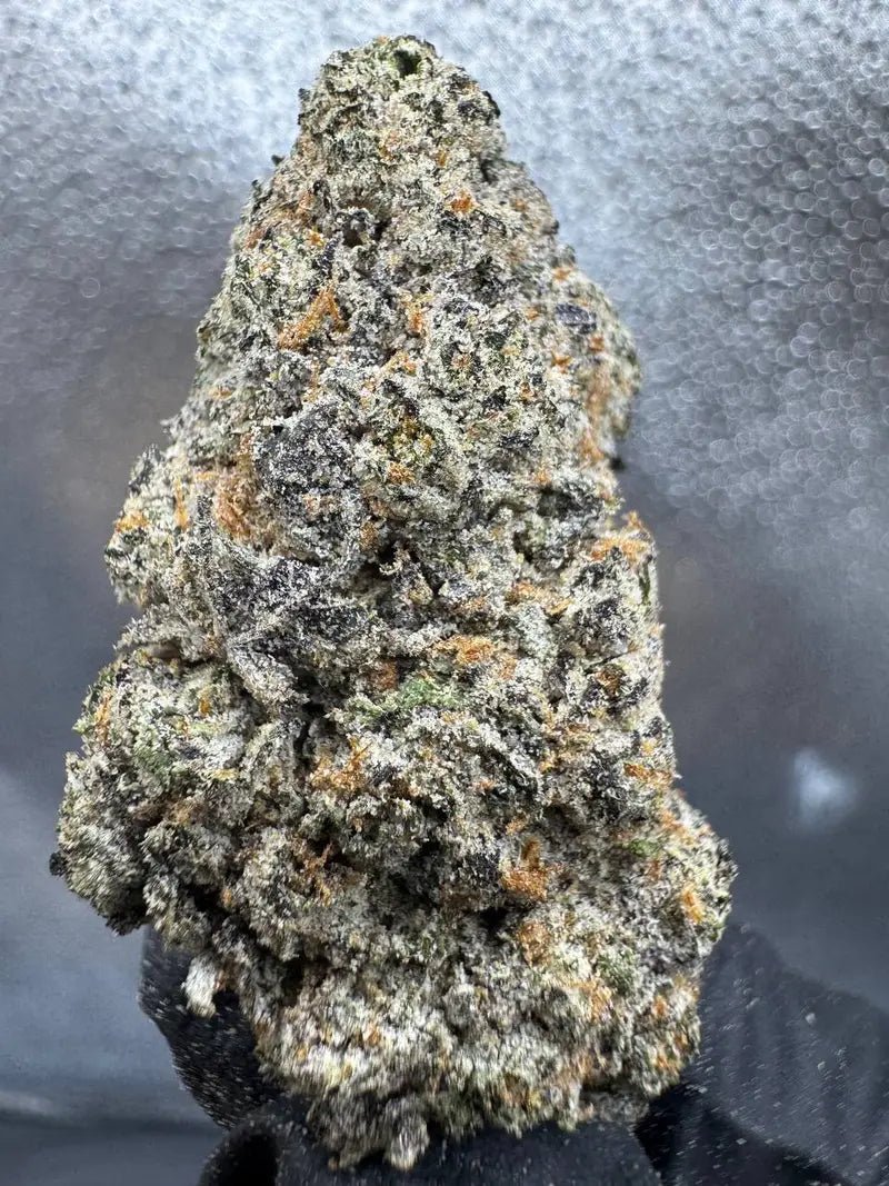 THCa Hemp Flower - Gelato 47 (Indica) - Alderson Family Farms