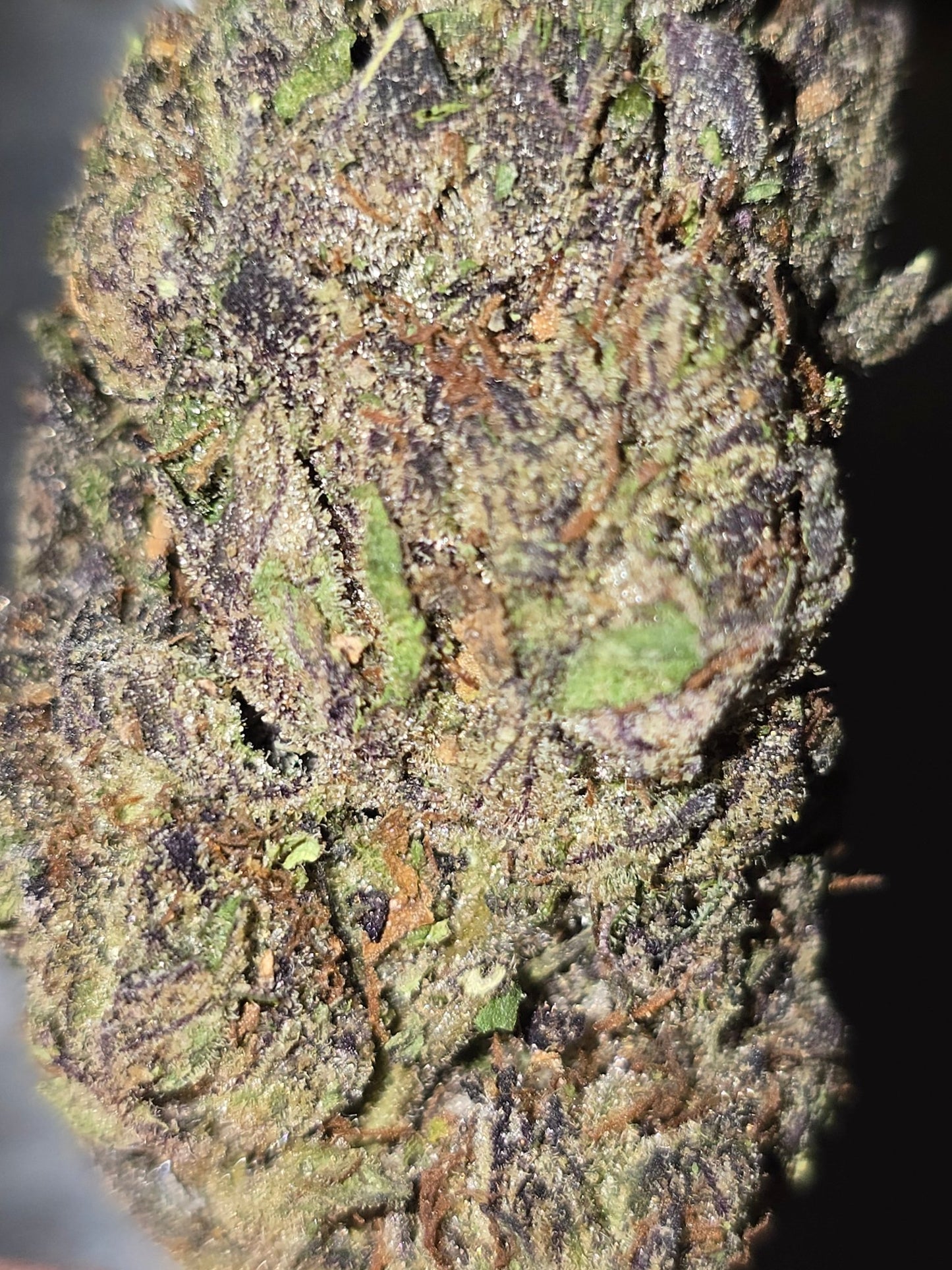THCa Hemp Flower - Granimals - Alderson Family Farms