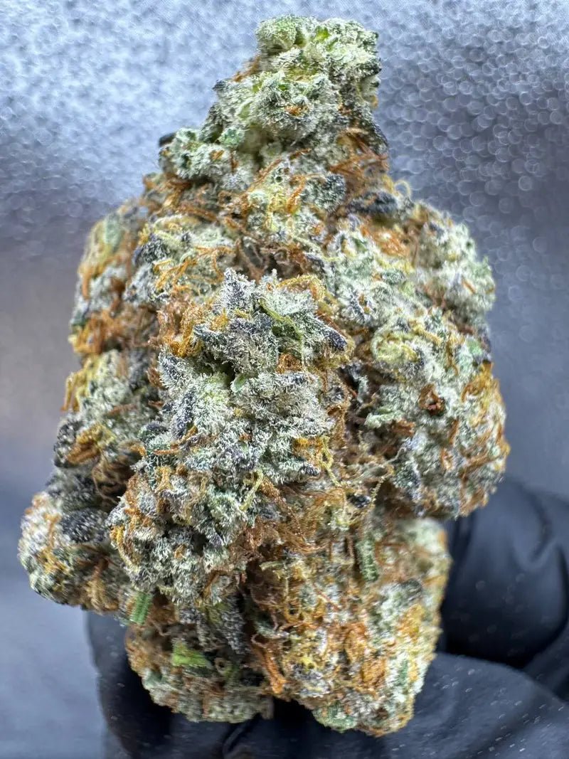 THCa Hemp Flower - Kept Secret (Sativa) - Alderson Family Farms