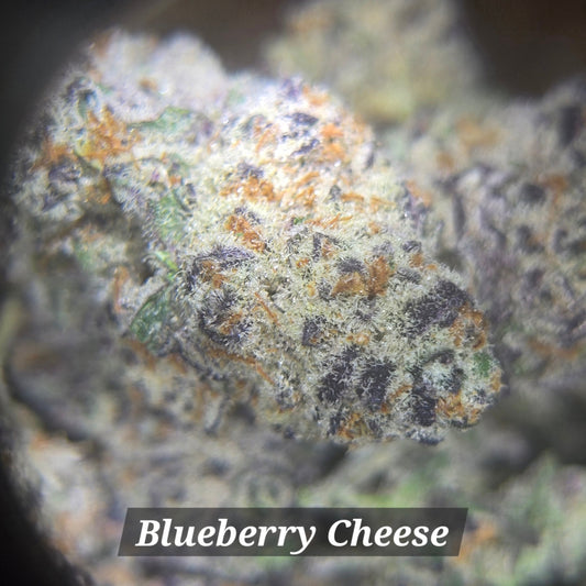 Blueberry Cheese - Alderson Family Farms