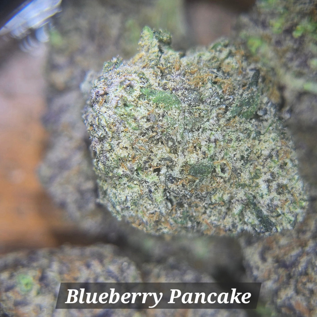 Blueberry Pancake - Alderson Family Farms
