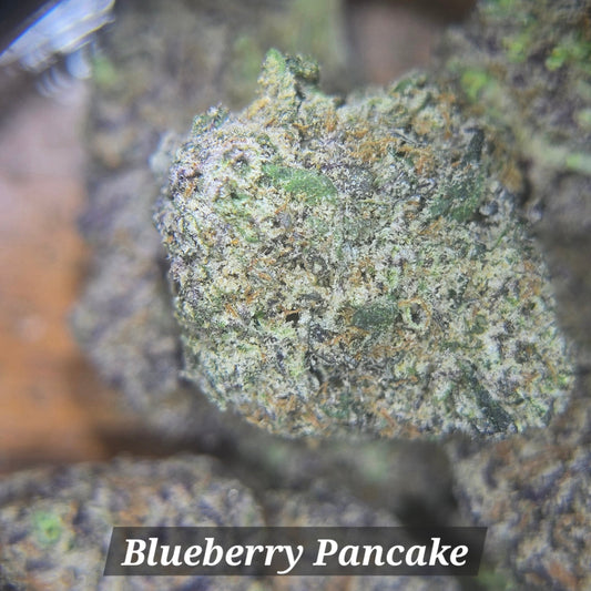 Blueberry Pancake - Alderson Family Farms