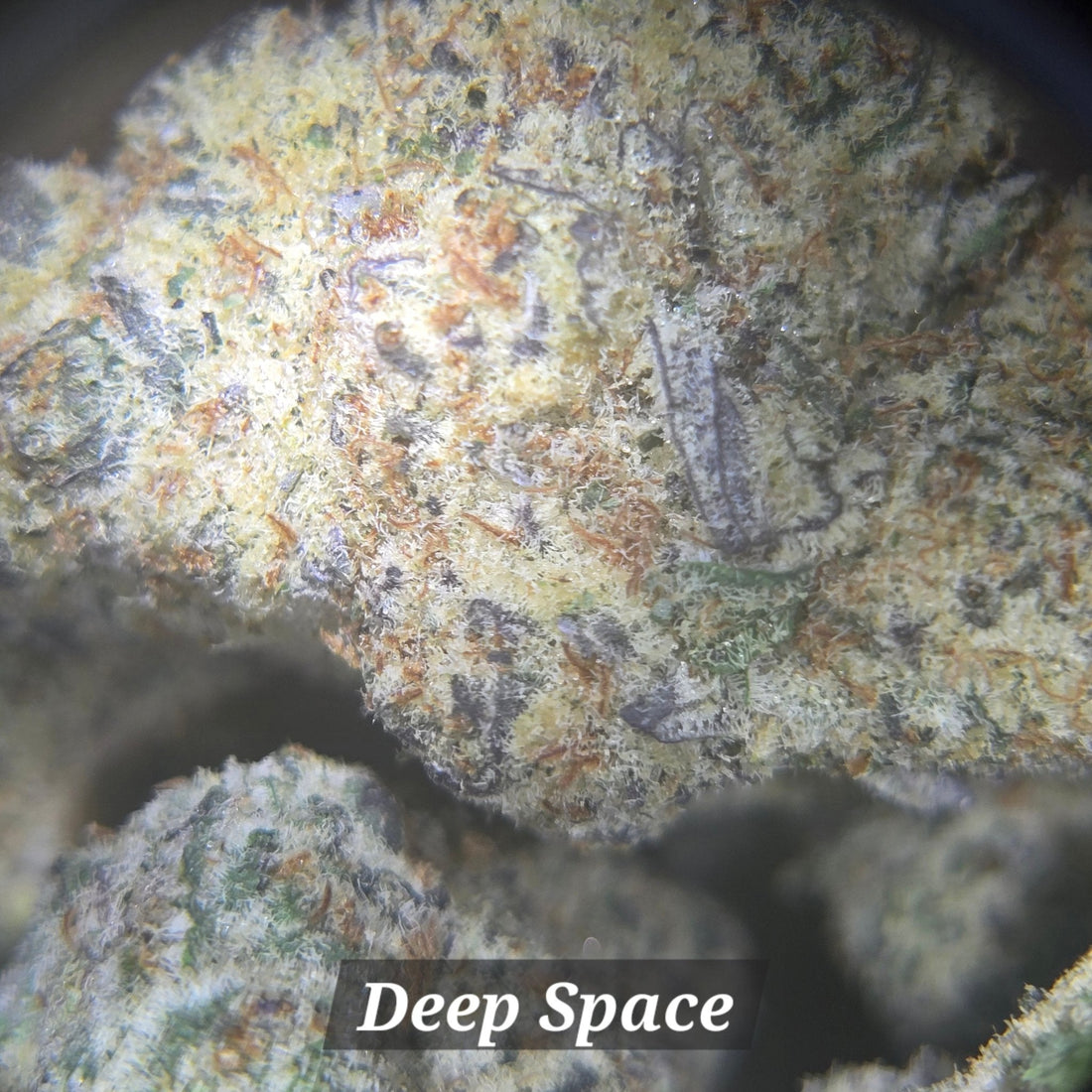 Deep Space - Alderson Family Farms