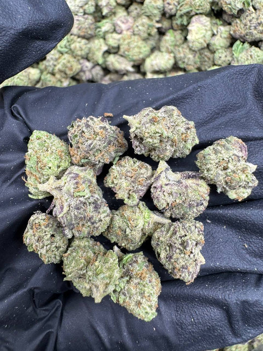 Glitterbomb - Alderson Family Farms