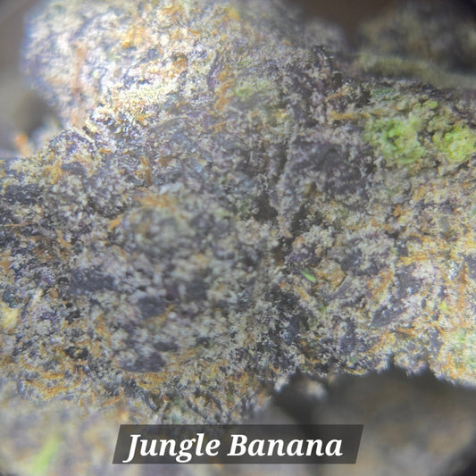 Jungle Banana - Alderson Family Farms