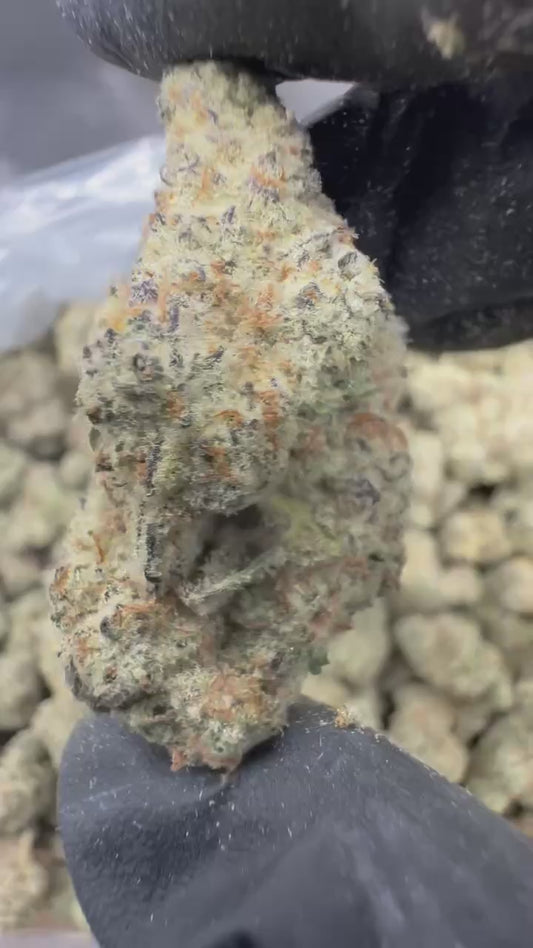 THCa Hemp Flower - Tier 1 Pre-Order