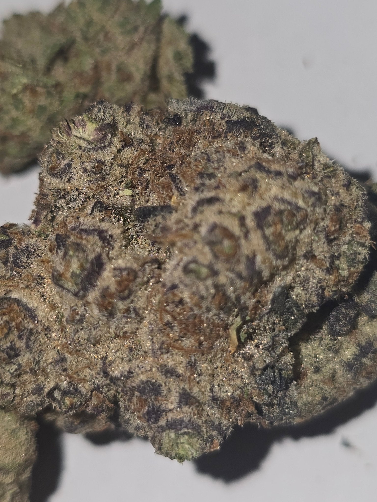 THCa Hemp Flower - Berry Cream Puff - Alderson Family Farms