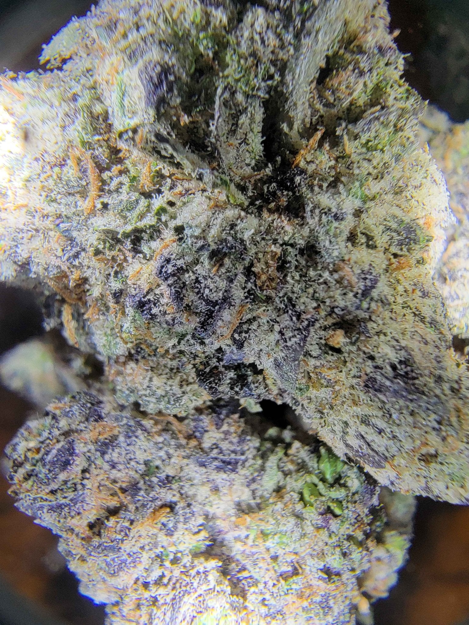 THCa Hemp Flower - Boutique - Alderson Family Farms
