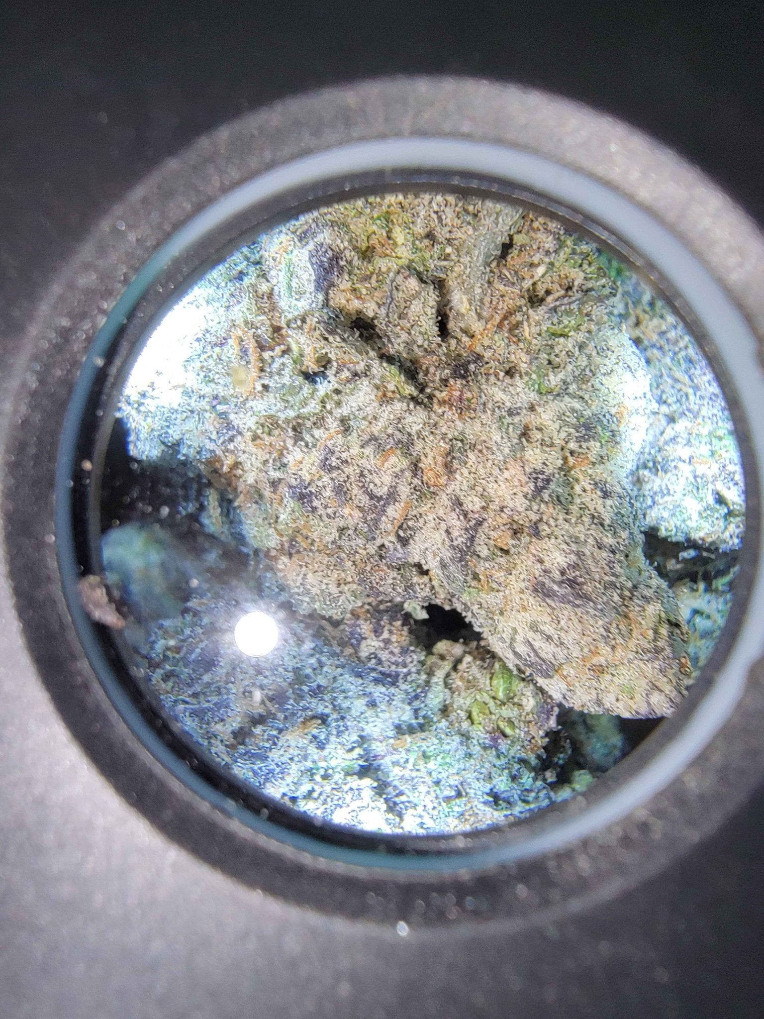 THCa Hemp Flower - Boutique - Alderson Family Farms