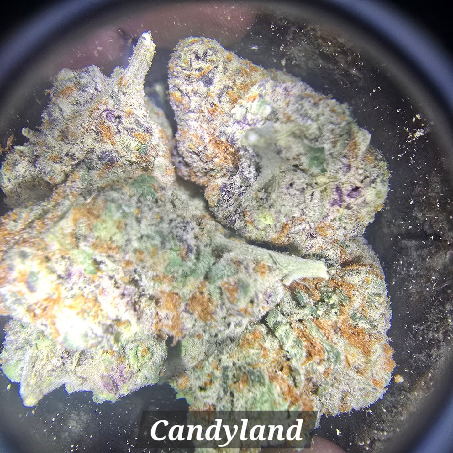 THCa Hemp Flower - Exotics - Alderson Family Farms