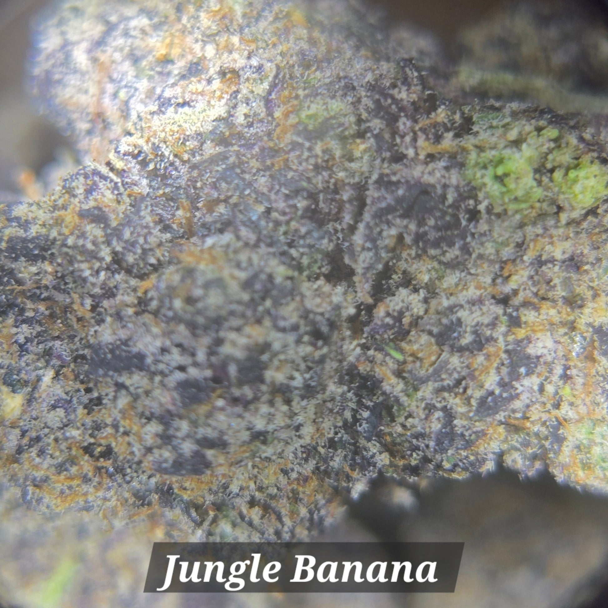 THCa Hemp Flower - Exotics - Alderson Family Farms