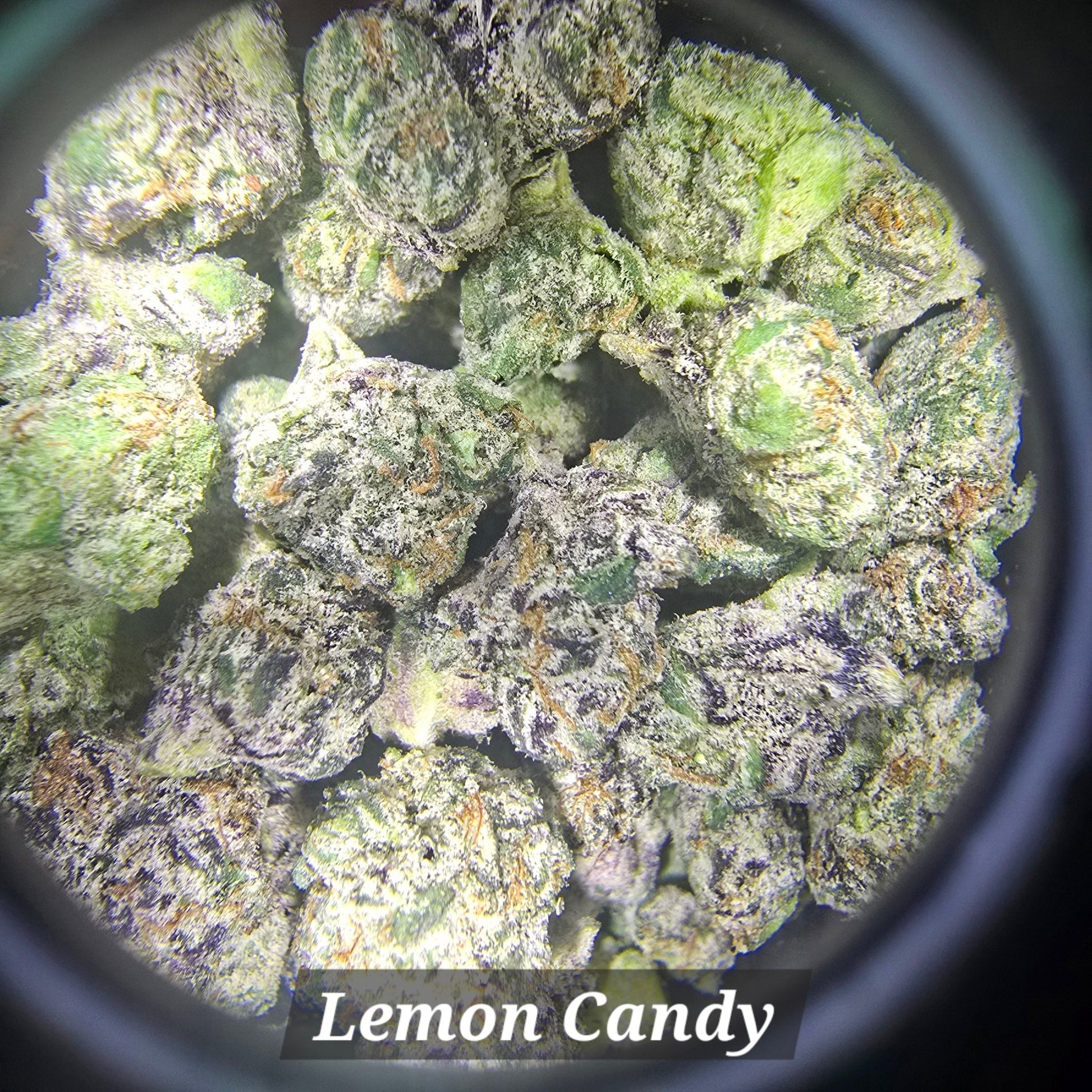 THCa Hemp Flower - Indoor Smalls - Alderson Family Farms