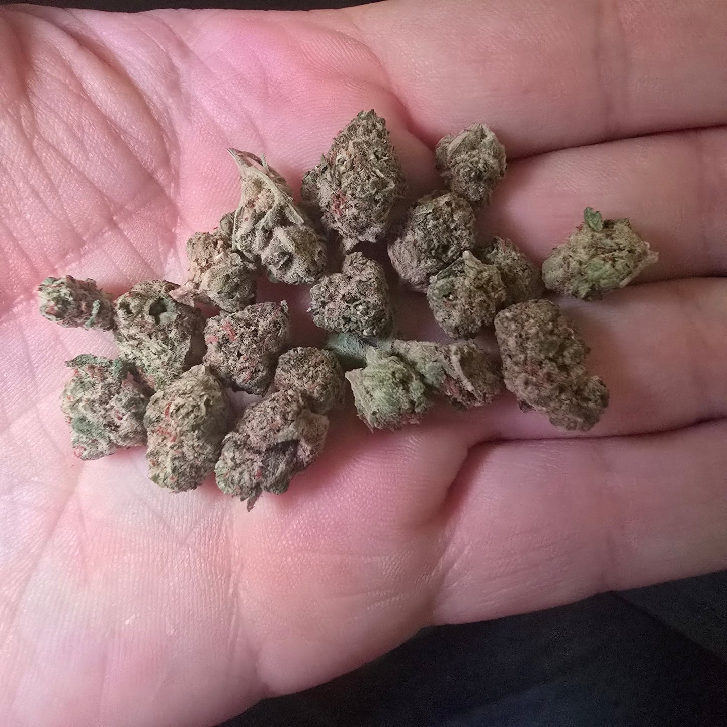 THCa Hemp Flower - Indoor Smalls - Alderson Family Farms