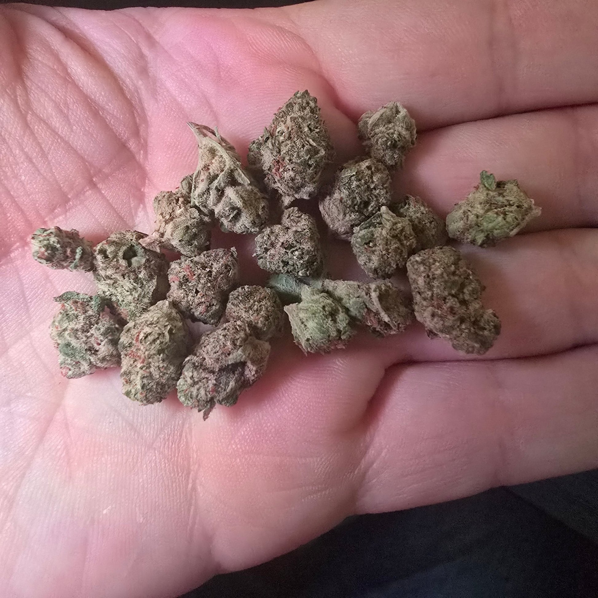 THCa Hemp Flower - Indoor Smalls - Alderson Family Farms
