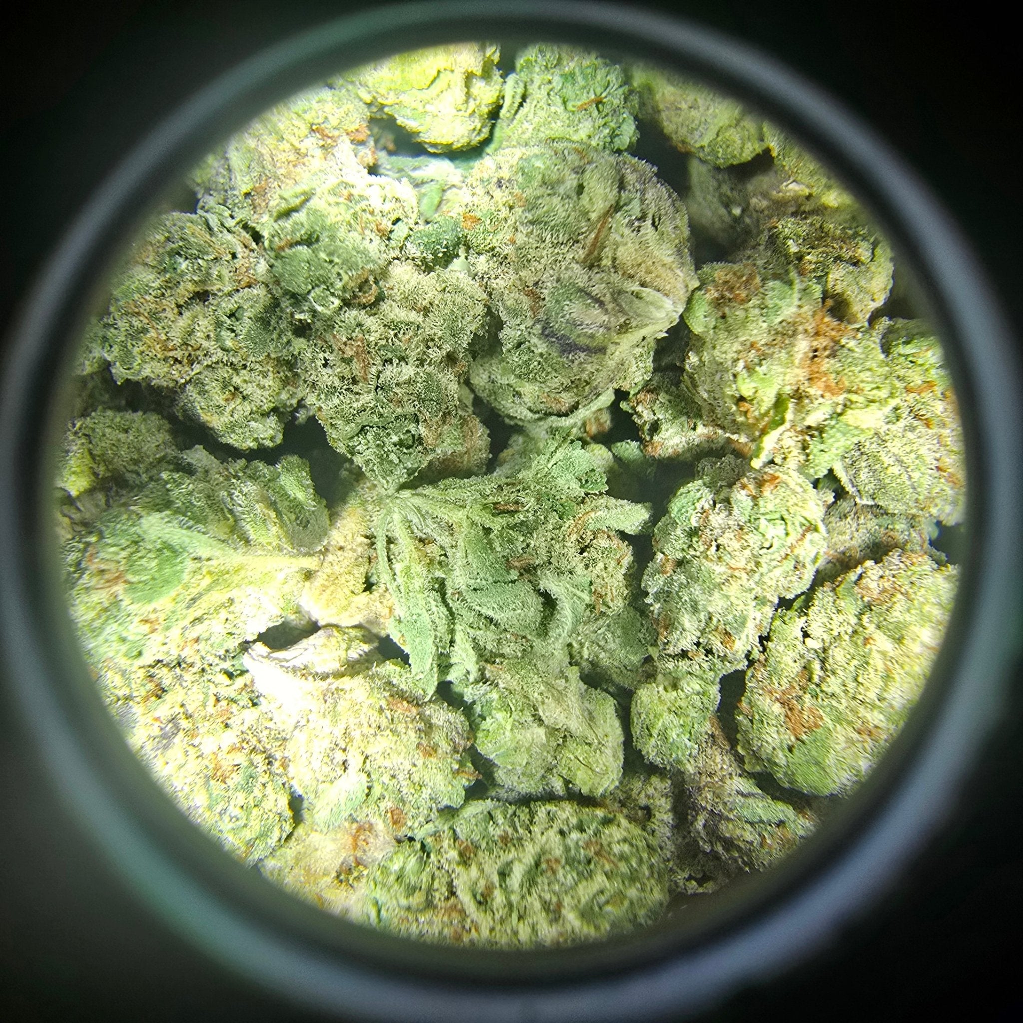 THCa Hemp Flower - Indoor Smalls - Alderson Family Farms