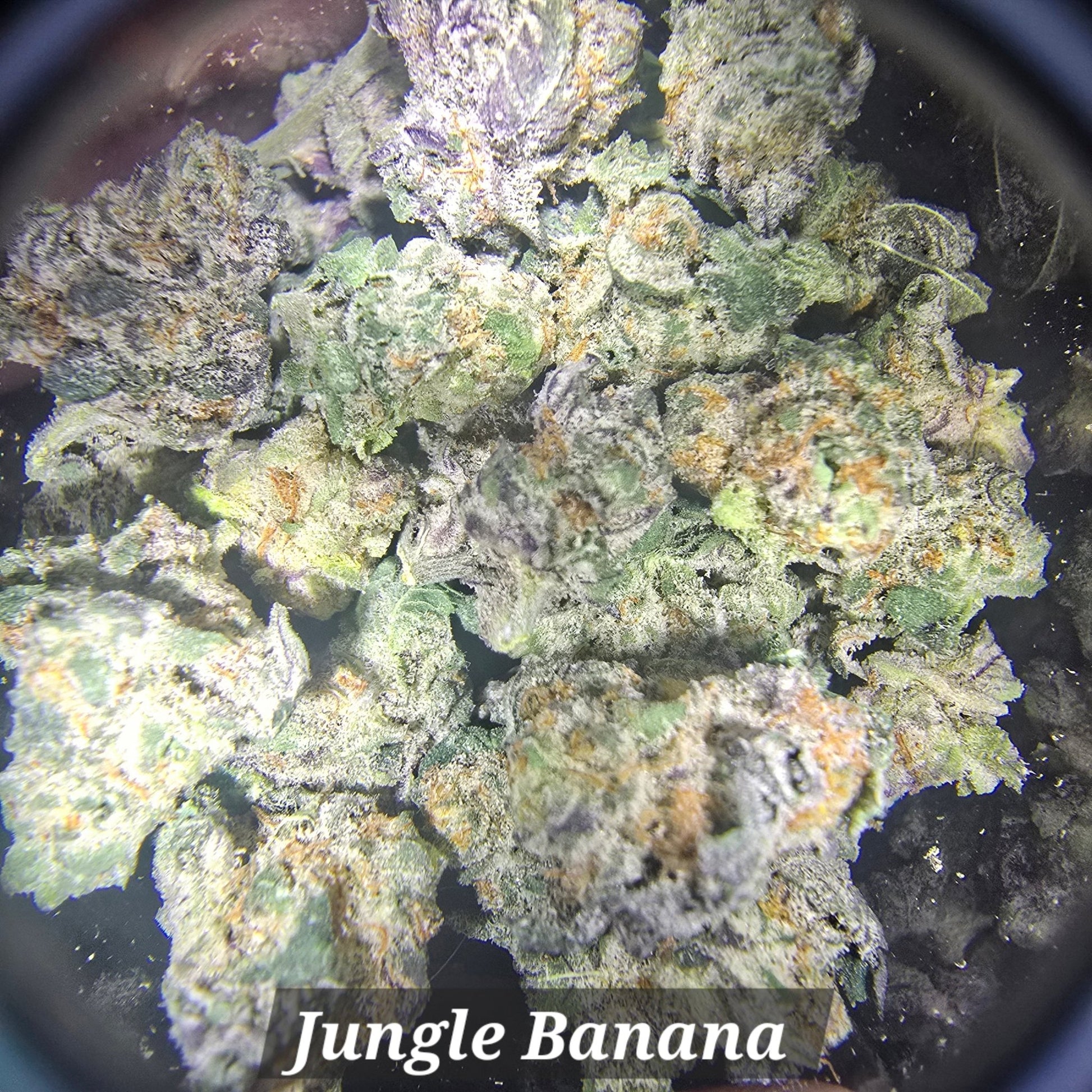 THCa Hemp Flower - Indoor Smalls - Alderson Family Farms