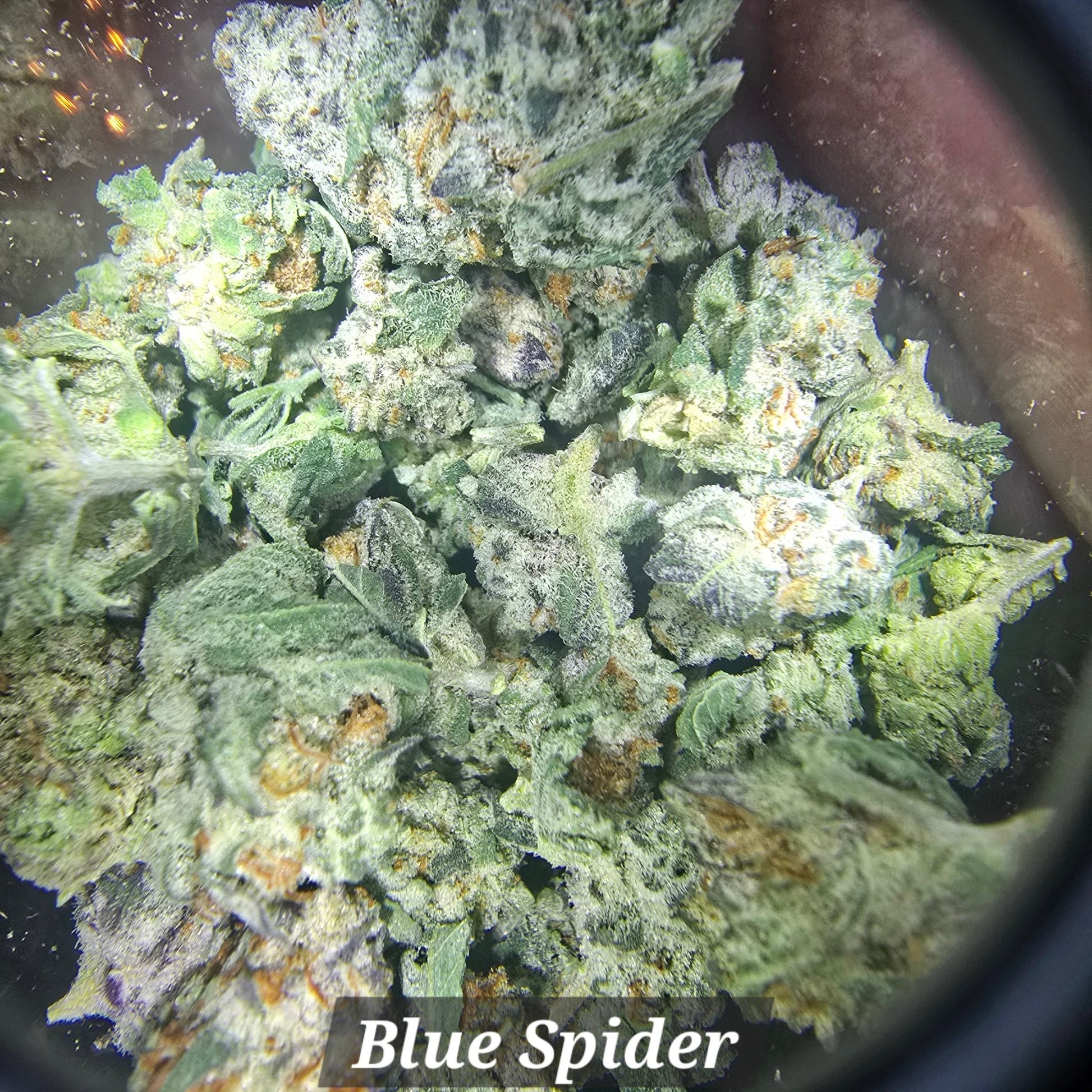 THCa Hemp Flower - Indoor Smalls - Alderson Family Farms