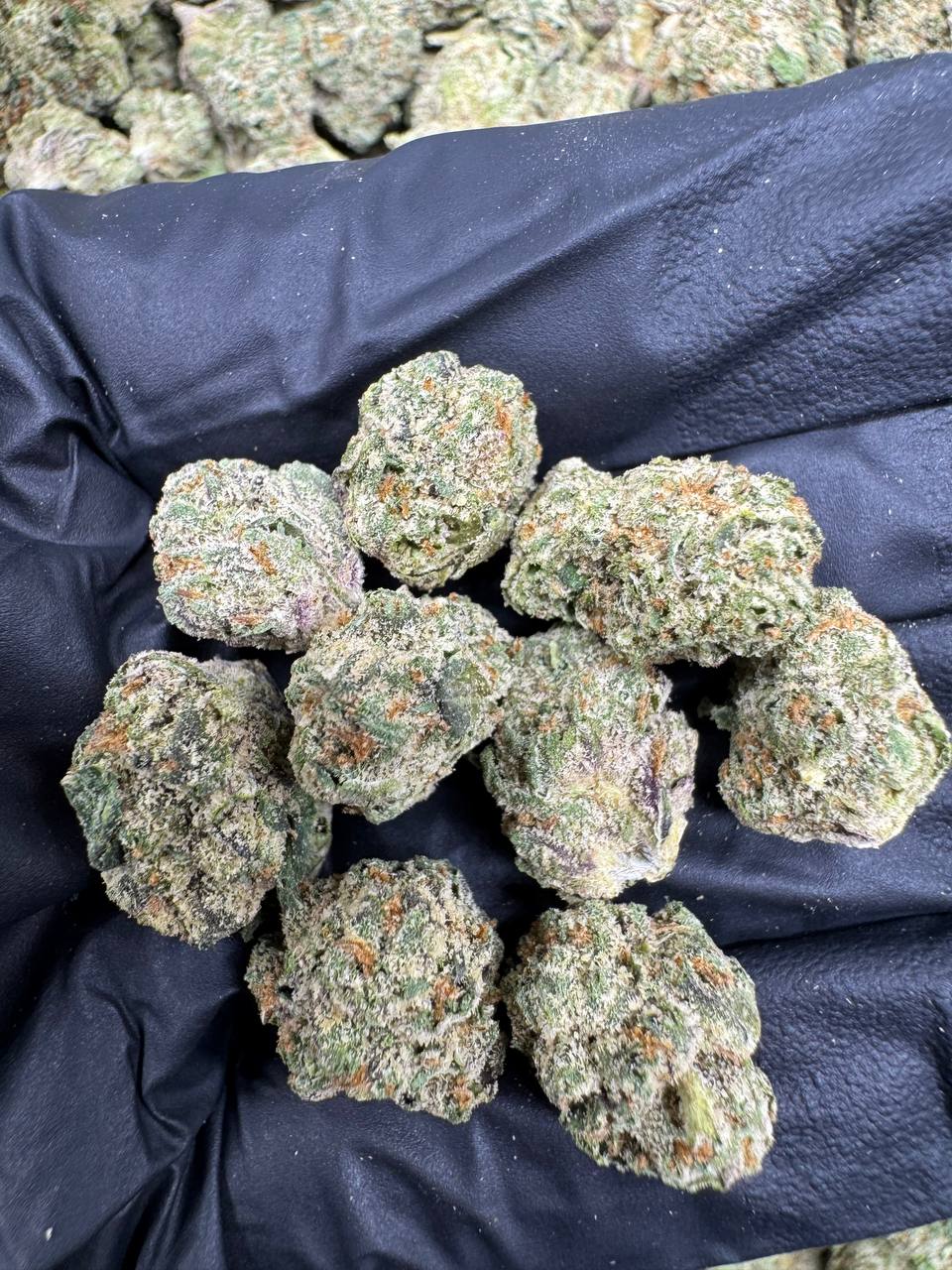 THCa Hemp Flower - Indoor Smalls - Alderson Family Farms