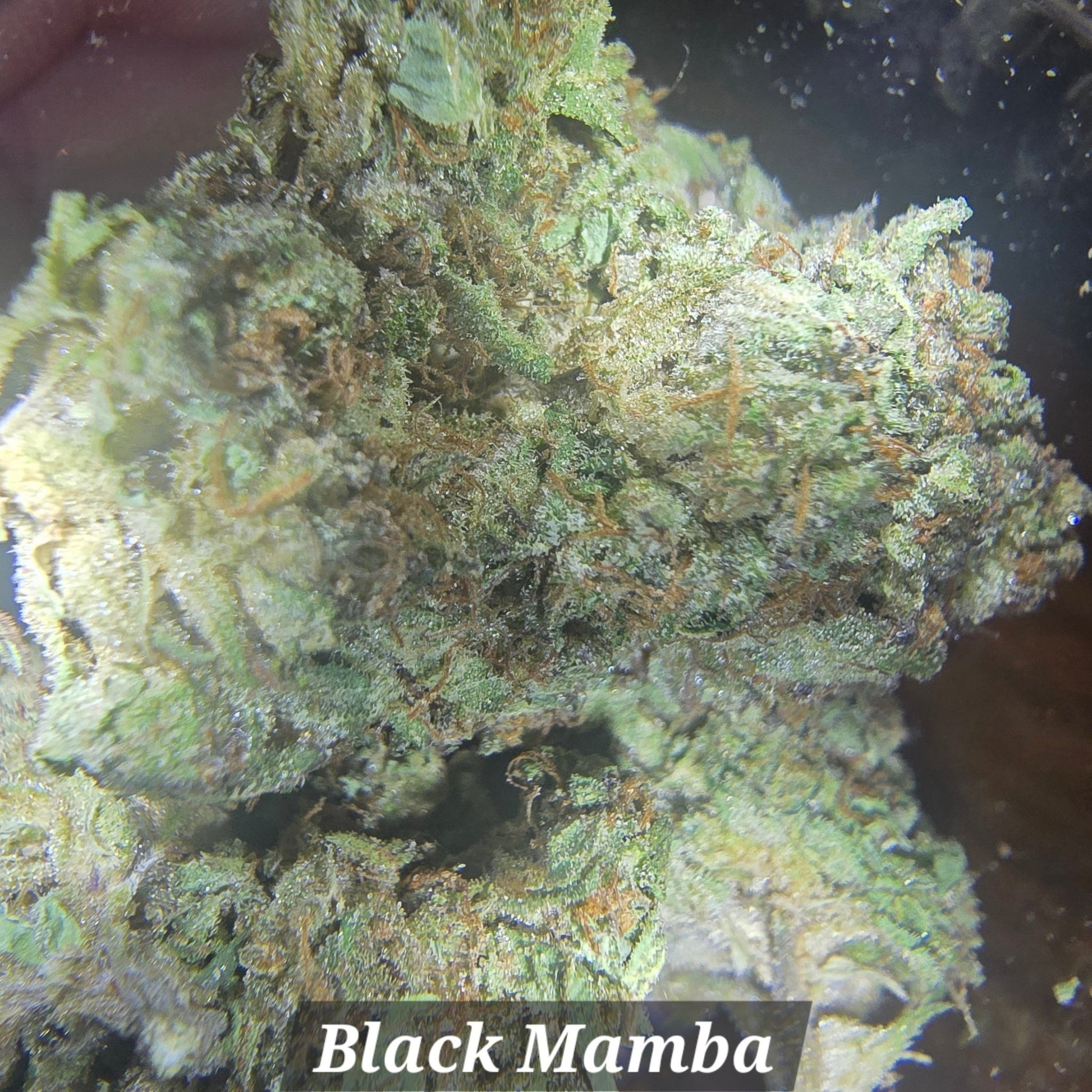THCa Hemp Flower - Light Deps - Alderson Family Farms